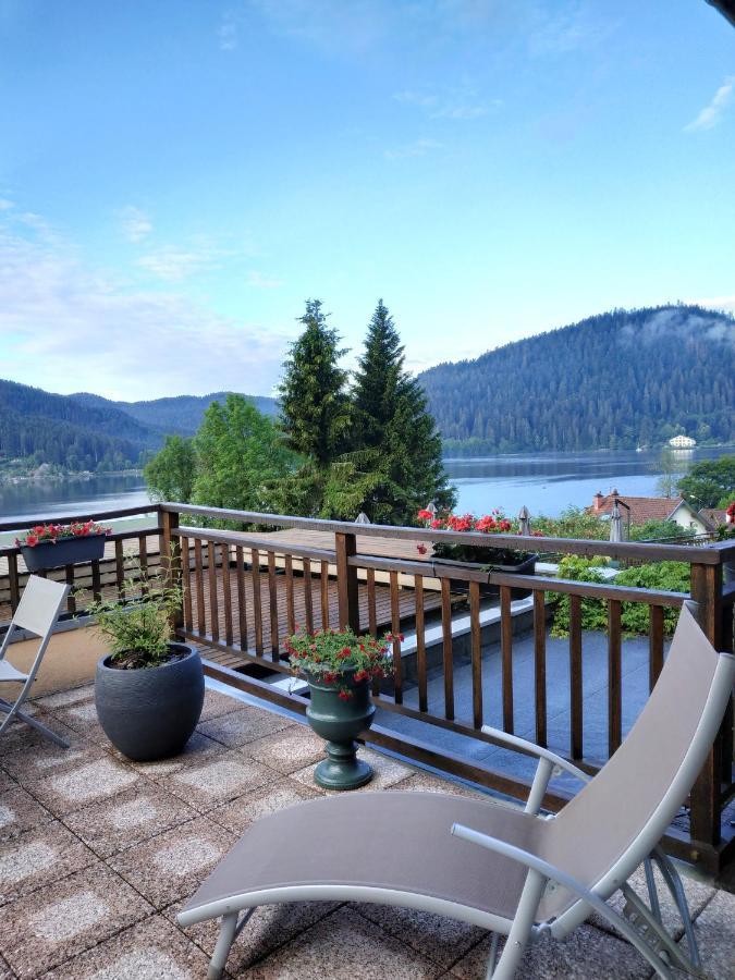 Le Manoir Au Lac Gerardmer Ngoại thất bức ảnh