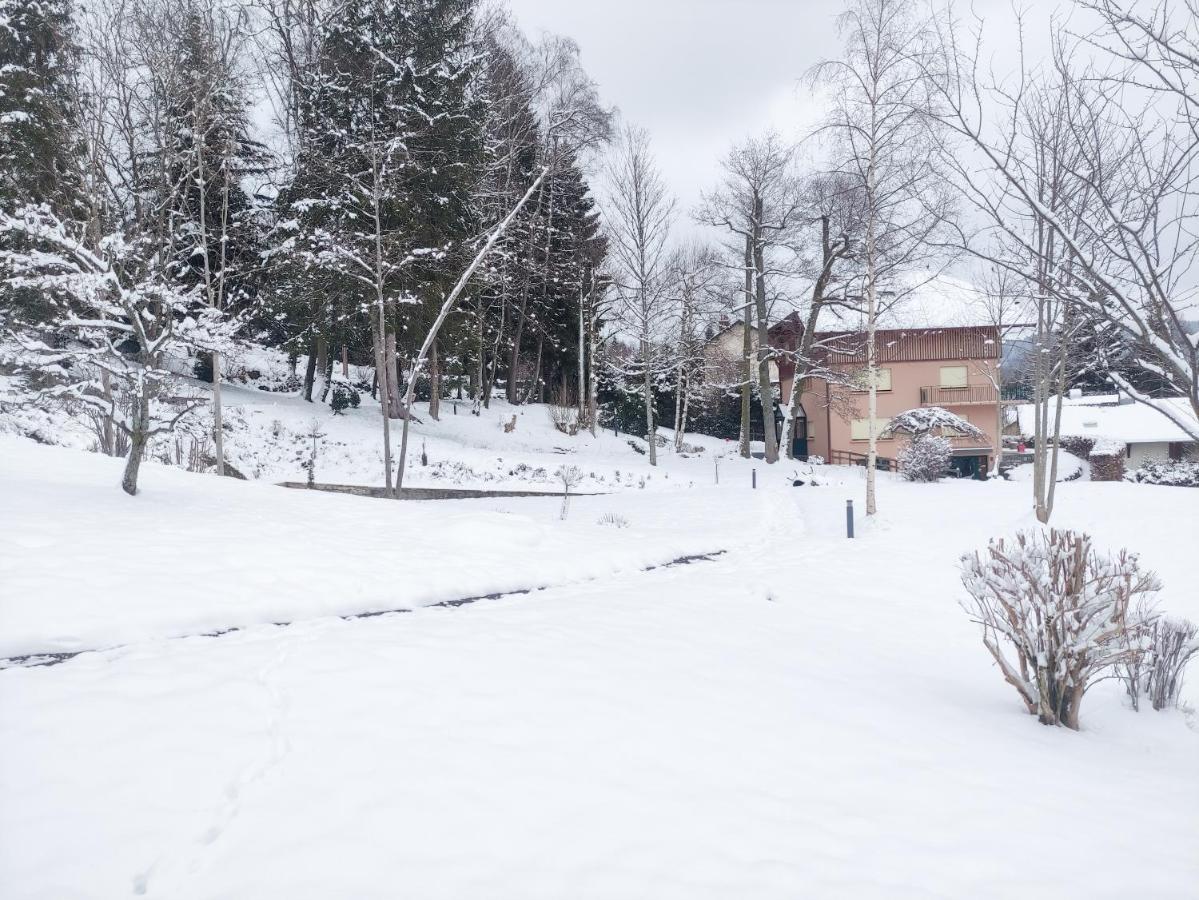 Le Manoir Au Lac Gerardmer Ngoại thất bức ảnh